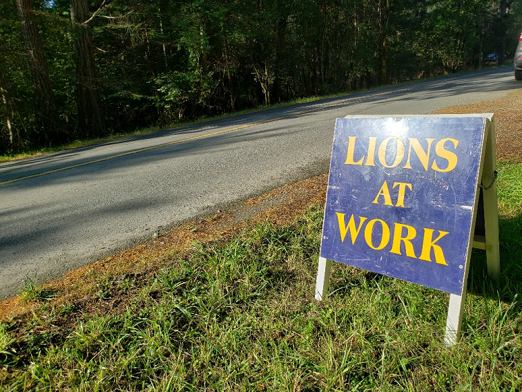 lions at work